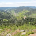 Schwarzwaldblick *