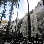 Schwarzwaldblick * Bad Rippoldsau-Schapbach