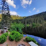 Schwarzwaldblick *