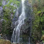 Schwarzwaldblick *