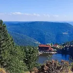 Schwarzwaldblick * Bad Rippoldsau-Schapbach