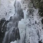 Schwarzwaldblick