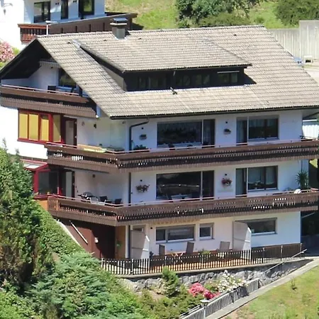 Schwarzwaldblick *