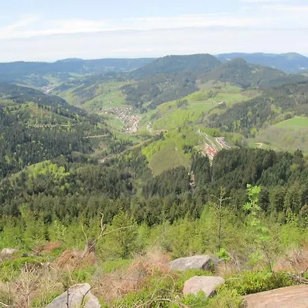 Schwarzwaldblick *