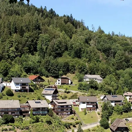 Schwarzwaldblick
