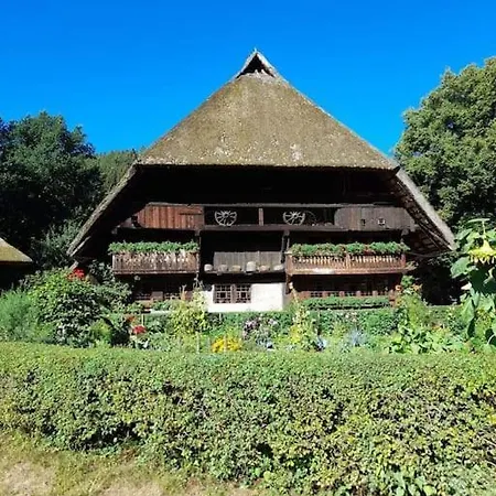 Schwarzwaldblick Apartment *