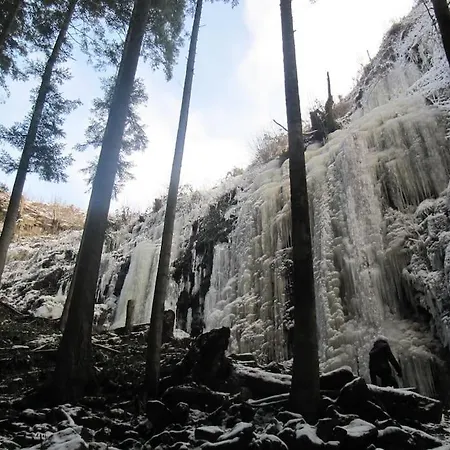Schwarzwaldblick * Bad Rippoldsau-Schapbach