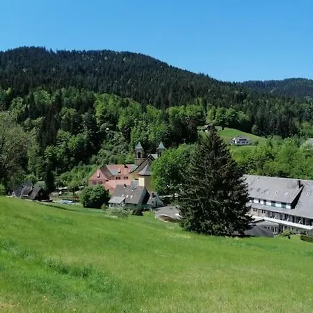 Schwarzwaldblick