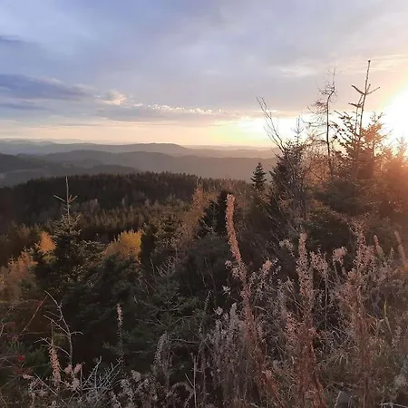 Schwarzwaldblick * 바트리폴드사우샤프바흐