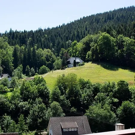 Schwarzwaldblick Bad Rippoldsau-Schapbach