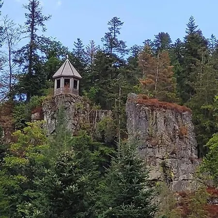 Schwarzwaldblick 아파트 *