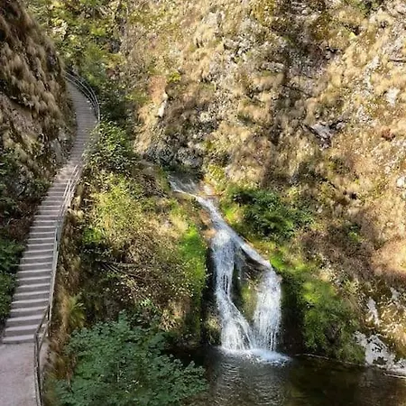 Apartment Schwarzwaldblick