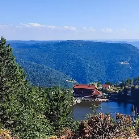 Schwarzwaldblick * Bad Rippoldsau-Schapbach