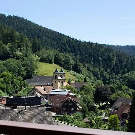 Schwarzwaldblick Bad Rippoldsau-Schapbach