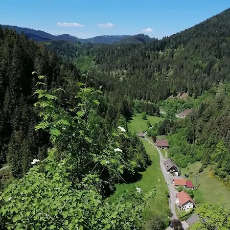 아파트 Schwarzwaldblick *