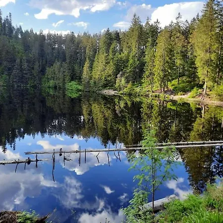 Daire Schwarzwaldblick Bad Rippoldsau-Schapbach