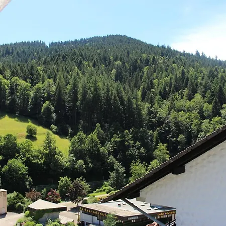 Schwarzwaldblick *