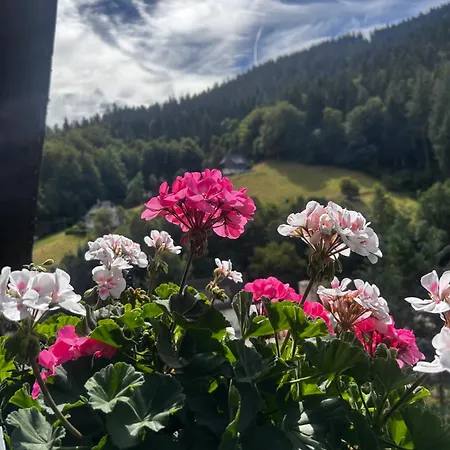Schwarzwaldblick *