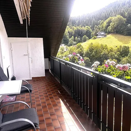 Schwarzwaldblick * Bad Rippoldsau-Schapbach